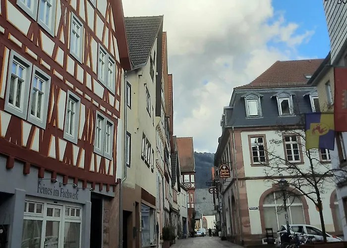 Altstadthaeuschen Mit Flussblick, Naehe Heidelberg Castle