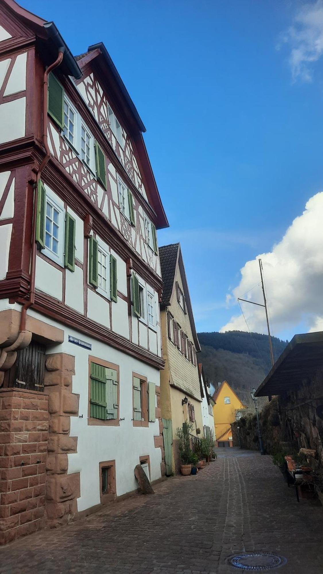 Altstadthaeuschen Mit Flussblick, Naehe Heidelberg Castle Hirschhorn