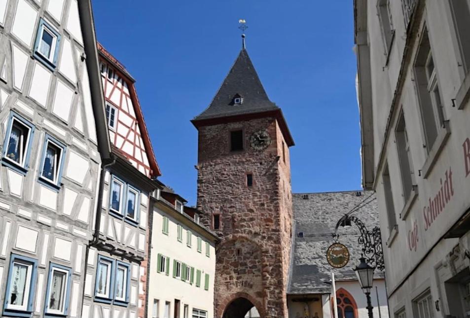 Altstadthaeuschen Mit Flussblick, Naehe Heidelberg Castle