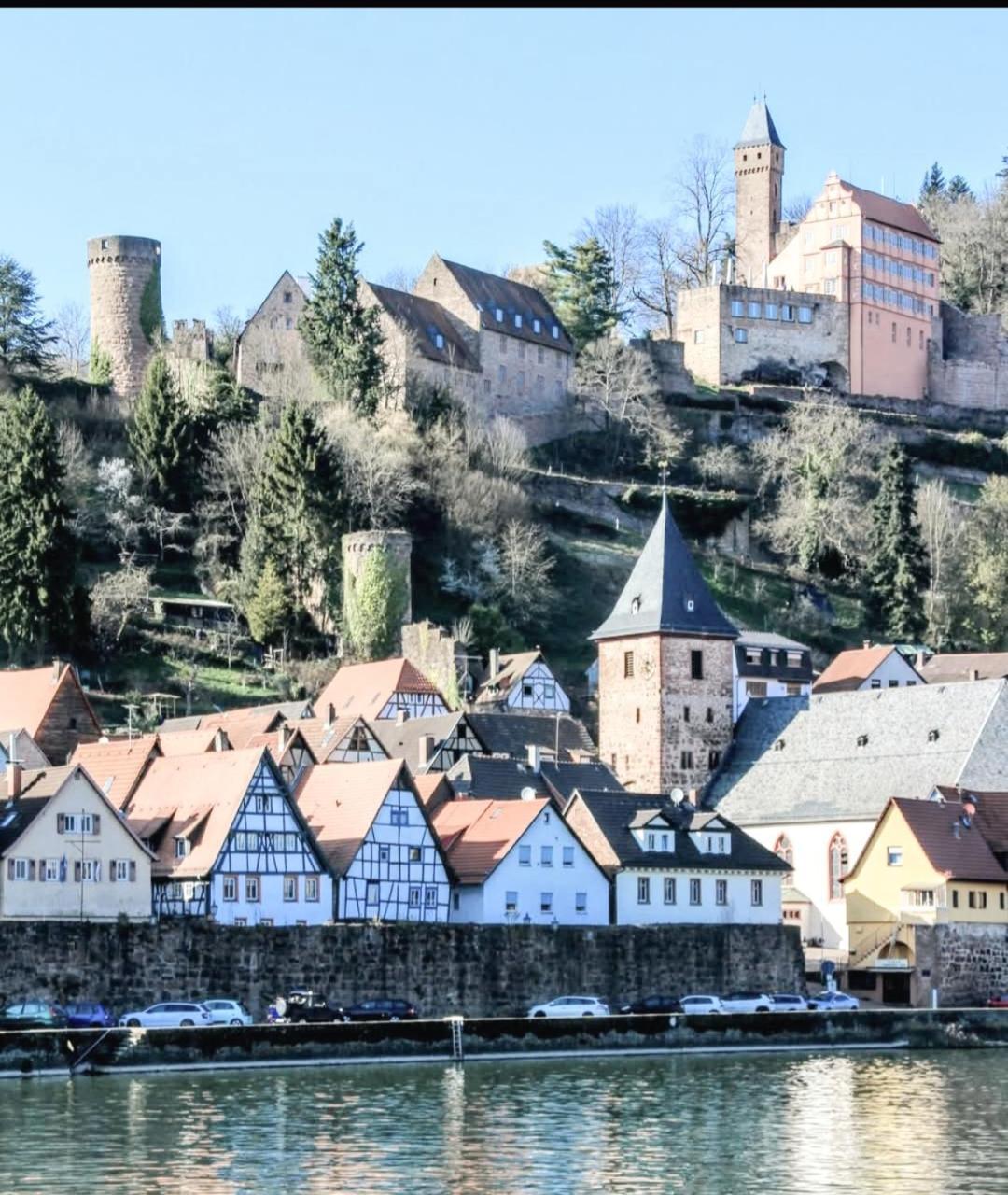 Altstadthaeuschen Mit Flussblick, Naehe Heidelberg Castle
