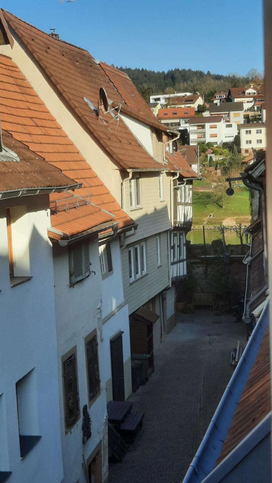 Dom wakacyjny Altstadthaeuschen Mit Flussblick, Naehe Heidelberg Castle